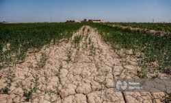 کاهش بارش ها در ایران