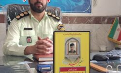 دستگیری سارق گوشی و کشف ۶ دستگاه گوشی سرقتی در نهاوند