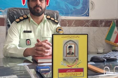 دستگیری سارق گوشی و کشف ۶ دستگاه گوشی سرقتی در نهاوند